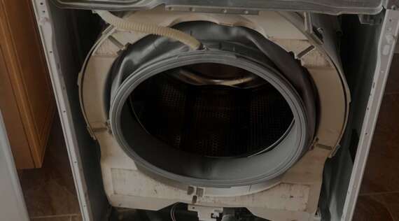 Washer Door Seal Replacement in Sarasota: Mold, Leaks, and When It’s Time
